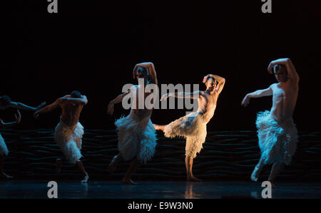 Matthew Bourne's Swan Lake, Sadler's Wells Theatre, Londres. Banque D'Images