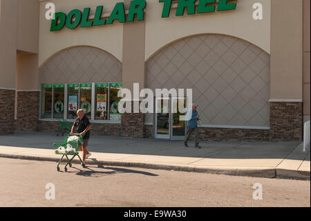 Dollar Tree divers rabais magasin détaillant de marchandises générales dans Lady Lake, Florida USA Banque D'Images