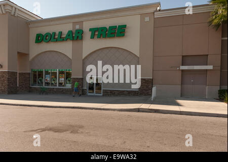 Dollar Tree divers rabais magasin détaillant de marchandises générales dans Lady Lake, Florida USA Banque D'Images