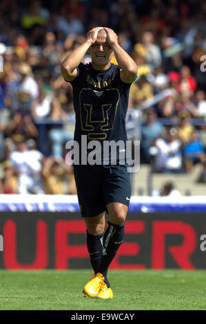 La ville de Mexico, Mexique. 2e Nov, 2014. Dario Veron de Pumas UNAM réagit pendant le match de la journée 15 du tournoi d'Ouverture 2014 de la Ligue MX, contre Veracruz, dans le stade de l'Université Olympique, dans la ville de Mexico, capitale du Mexique, le 2 novembre 2014. © Bernardo Maldonado/Xinhua/Alamy Live News Banque D'Images