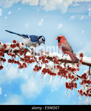 Peinture numérique d'oiseaux en hiver Banque D'Images