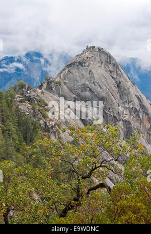 Sequoia National Park's Moro Rock formation dôme de granit. Banque D'Images