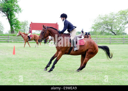 La ferme de St James Poney Club des Sports équestres - Famille Journée de terrain Banque D'Images