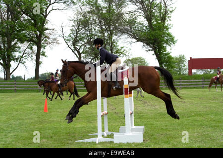 La ferme de St James Poney Club des Sports équestres - Famille Journée de terrain Banque D'Images