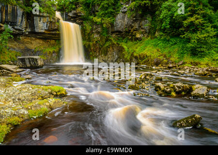 Thornton vigueur près de Ingleton dans le Yorkshire Dales National Park Banque D'Images