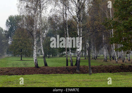 17 octobre, 2014 - Auschwitz/Birkenau concentration camps bâtiments sont toujours entourés de barbelés et une tour. © Hans Van Rhoon/ZUMA/ZUMAPRESS.com/Alamy fil Live News Banque D'Images