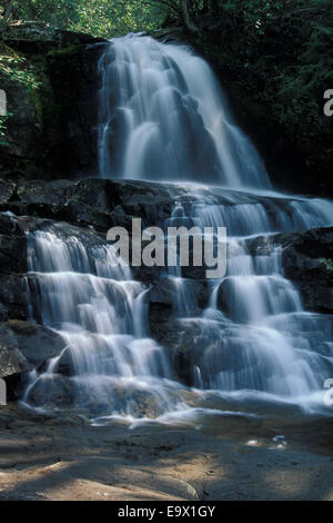 Laurel Falls Great Smoky Mountains National Park Utah Banque D'Images