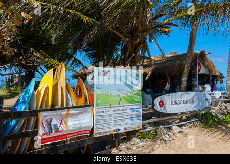 Dominikanische Republik, Osten, Punta Cana, Macao, am Strand von Macao Banque D'Images