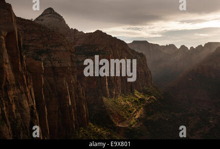 Le coucher de soleil sur le canyon de Zion National Park près de Springdale, en Utah, United States, 20 juin 2014. (Adrien Veczan) Banque D'Images