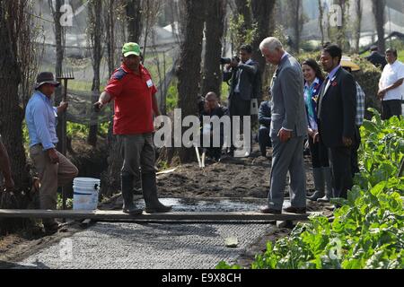 La ville de Mexico, Mexique. 29Th sep 2014. La Prince Charles (R) avant, dans les terres agricoles visites Xochimilco de Mexico, capitale du Mexique, le 3 novembre à 2014. Crédit : Jose Mendez/Piscine/Xinhua/Alamy Live News Banque D'Images