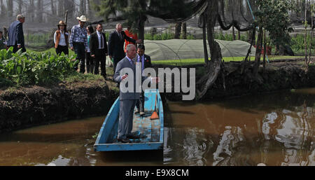 La ville de Mexico, Mexique. 29Th sep 2014. Le Prince Charles britannique se trouve dans un petit bateau au cours de sa visite dans le réseau de canaux de Xochimilco de Mexico, capitale du Mexique, le 3 novembre à 2014. Crédit : Jose Mendez/Piscine/Xinhua/Alamy Live News Banque D'Images