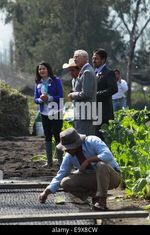 La ville de Mexico, Mexique. 29Th sep 2014. Le Prince Charles britannique (C) des visites de terres agricoles de Xochimilco de Mexico, capitale du Mexique, le 3 novembre à 2014. Crédit : Jose Mendez/Piscine/Xinhua/Alamy Live News Banque D'Images