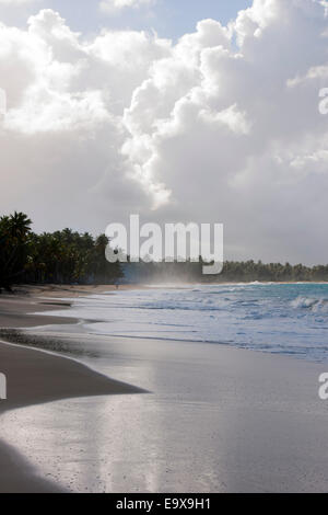 Dominikanische Republik, Osten, El Cedro, Strand Playa Limon Banque D'Images