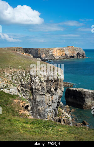 Vue sur le spectaculaire littoral à St Govan's Head, Pembrokeshire, Pays de Galles du Sud Banque D'Images