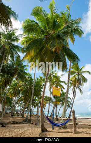 Dominikanische Republik, Osten, El Cedro, Strand Playa Limon Banque D'Images