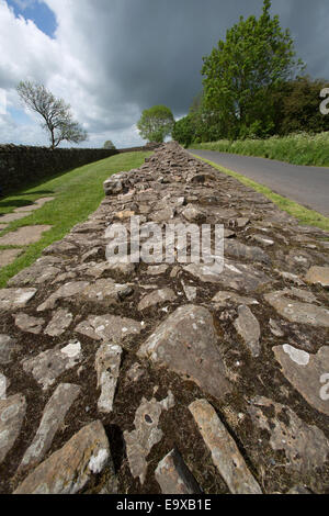 Vue pittoresque du mur d'Hadrien au chemin sur la tourelle Banques Gilsland Brampton à partie de l'itinéraire. Banque D'Images