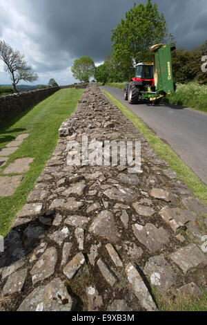 Vue pittoresque du mur d'Hadrien au chemin sur la tourelle Banques Gilsland Brampton à partie de l'itinéraire. Banque D'Images