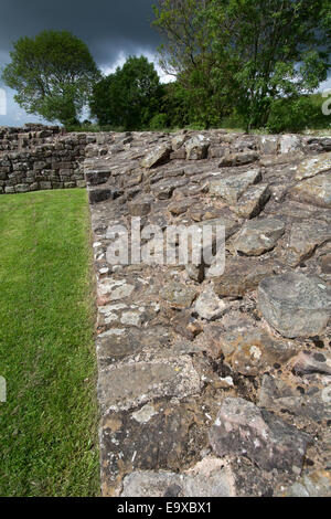 Vue pittoresque du mur d'Hadrien au chemin sur la tourelle Banques Gilsland Brampton à partie de l'itinéraire. Banque D'Images