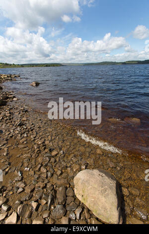 Lac de Kielder, dans le Northumberland. Au début de l'été vue pittoresque des rives du lac de Kielder près de Mouseyhaugh. Banque D'Images