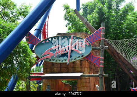 SheiKra roller coaster ride à Busch Gardens, Tampa, Florida, USA Banque D'Images