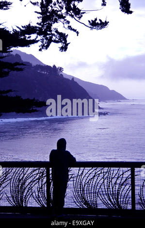 Montres homme hoodie avec rouleau de brouillard en Institut Esalen lookout dans Big Sur Californie Banque D'Images