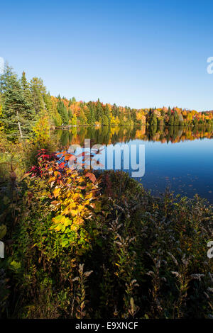 Coloré, spectaculaire paysage d'automne dans le parc national du Mont-Tremblant-Canada. Banque D'Images