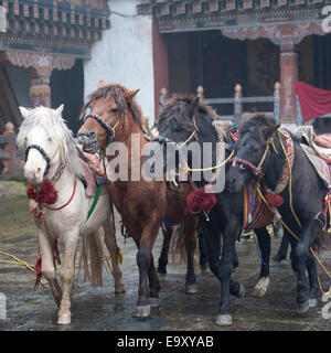 Les divinités des chevaux, on Trongsa Dzong Banque D'Images