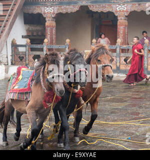 Les divinités des chevaux, on Trongsa Dzong Banque D'Images