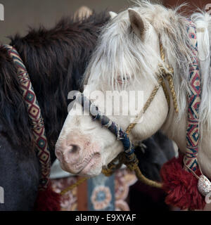 Les divinités des chevaux, on Trongsa Dzong Banque D'Images