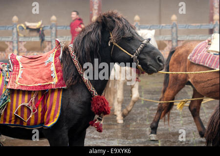 Trongsa Dzong divinités chevaux au Bhoutan, on Banque D'Images