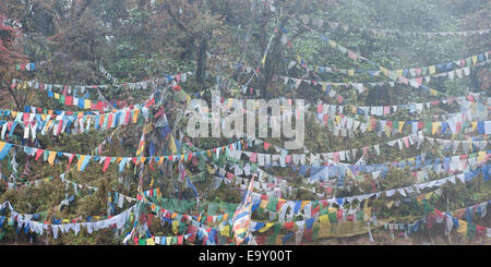 Les drapeaux de prières bouddhistes, Pele, Wangdue Phodrang La Pass, le Bhoutan District Banque D'Images