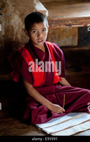 Le chimi Lhakhang moine étudiant à Punakha, District, le Bhoutan Banque D'Images