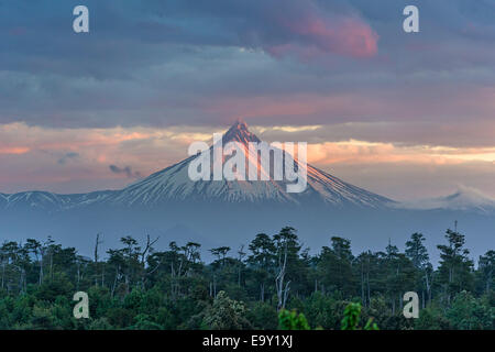 Dans la soirée du volcan Puyehue, lumière Puyehue, Los Lagos Region, Chile Banque D'Images
