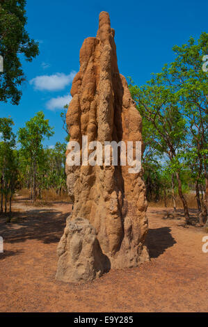 Termitière dans le parc national de Litchfield, Territoires du Nord, Australie Banque D'Images