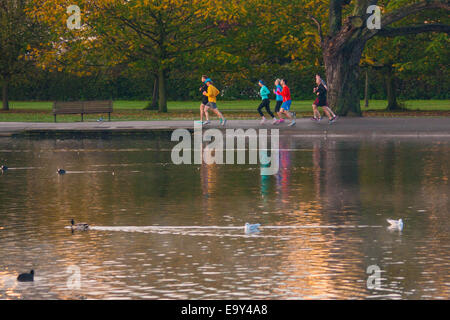 Regent's Park, London, UK. 4 novembre, 2014. Météo britannique. Un groupe de coureurs profiter du soleil tôt le matin dans la région de Regents Park. Crédit : Paul Davey/Alamy Live News Banque D'Images