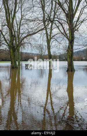 Chippenham Meadow recreation ground de Monmouth en vertu de l'eau d'inondation. Banque D'Images