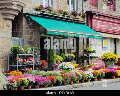 Un magasin de fleur dans un joli bâtiment en pierre sur la place du marché de la petite ville de Lassay-les-Châteaux, Mayenne, France Banque D'Images