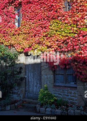 Couleurs d'automne de vigne vierge sur un mur en cottage Saint-Céneri-le-Gérei, un village dans les Alpes Mancelles, Normandie. Banque D'Images