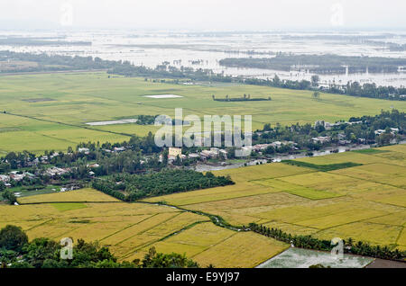 Les champs de riz du Delta du Mékong, vue de la montagne de Sam,Chau Doc Banque D'Images