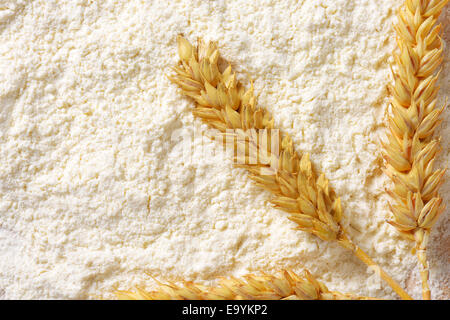 Arrière-plan de les épis de blé sur lit de farine douce with copy space Banque D'Images