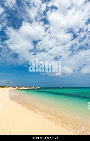 Vue vers le nord sur l'une des belles plages de sable au sud de cette ville de villégiature, Corralejo, Fuerteventura, Îles Canaries, Espagne Banque D'Images