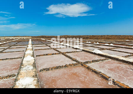 Les marais salants encore en usage à El Carmen Salinas & Musée du sel sur la côte est ; Caleta de Fuste, Fuerteventura, Îles Canaries, Espagne Banque D'Images