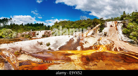 Hot spring dans la vallée volcanique, Nouvelle-Zélande Banque D'Images