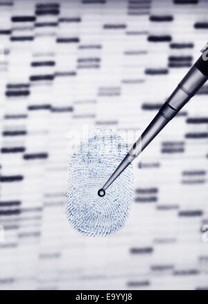 L'échantillon à la pipette d'ADN sur gel d'ADN et d'empreintes digitales humaines illustrant le génie génétique Banque D'Images