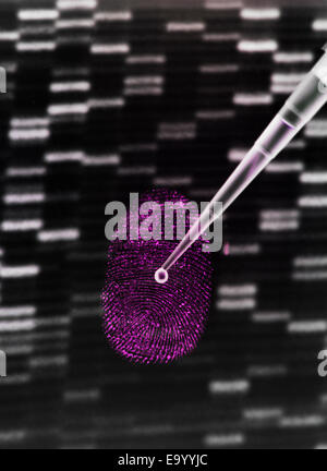 L'échantillon à la pipette d'ADN sur gel d'ADN humain et d'empreintes digitales pour illustrer le génie génétique Banque D'Images