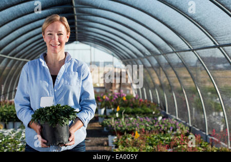 Portrait of mature female worker holding potted plant in plant nursery polytunnel Banque D'Images