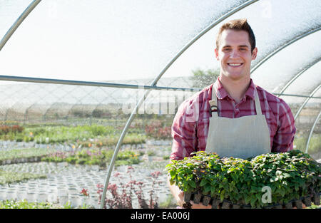 Portrait de jeune homme de l'horticulteur holding plantes dans les pépinières polytunnel Banque D'Images