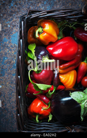 Panier de multi-couleur fraîchement cueillies et d'aubergines poivrons Banque D'Images