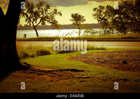 Arbre sur plaine herbeuse avec cyclist Banque D'Images