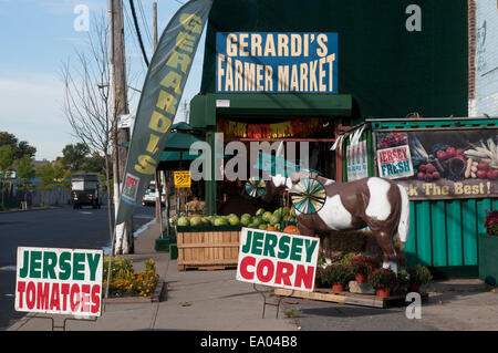 Marché fermier de Staten Island. Jersey les tomates. Jersey le maïs. New York. USA. Incomparable qualité et saveur de la croissance régionale produits disponibles à ce Greenmarket, attirer des clients de tous bords. Des tartes, du pain et des pâtisseries, des fruits de mer pêchés, du miel local, fruits du verger cueillies à son sommet de maturité et d'une abondance de légumes cultivés dans le comté d'Orange riche en éléments nutritifs du célèbre 'Black Dirt' servir une population diversifiée qui reviennent sur une base hebdomadaire pour s'approvisionner en aliments les plus frais et les plus sains. Banque D'Images